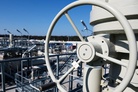 Termination of gas supplies from Russia will lead to a decline in the German economy