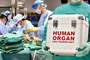 MFA: Organ trading schemes created in Ukraine, human organs sold on Internet