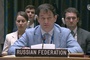 Dmitry Polyanskiy at the UN Security Council: “We insist that Israel strictly observe international law and the established legal basis for the Middle East peace process, including the relevant UNSC and GA resolutions”