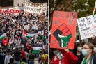 FOX News: College groups across U.S. are demanding an «end to Israel's siege on Gaza»