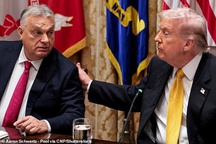 Turmoil in the European chicken coop: Europe up in arms over 'leaked US plan to pull countries away from EU'