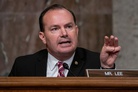 US Senator: “If Ukraine is in NATO, the United States should be out, plain and simple”