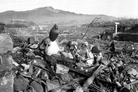 ‘Counter Punch’: Revisiting the bombing of Nagasaki, 78 years later