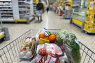 British experts warn world food system could collapse without urgent action