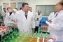Reuters: North Korea posts fastest growth in 8 years in 2024