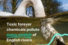 British life-style: Poor ‘State of the rivers’