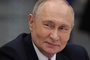 ‘The Telegraph’: Putin is the victor from NATO summit