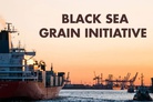 FP about ‘The Black Sea grain initiative’: “It’s a chance to demonize Moscow”