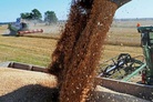 Russia took away France’s main grain buyer – Algeria