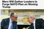 Bloomberg: Merz Will Gather Leaders to Forge NATO for Wooing Trump