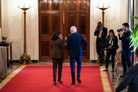 WP: 10 options if Democrats actually try to replace Biden