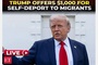 Trump administration to Ukrainian migrants: “Take $1000 and go home!”