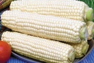 Mexico to tax imports of genetically modified corn