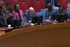 Vassily Nebenzia at a UNSC: “In Lebanon, during the recent ground invasion, the IDF units occupied part of the territory north of the Blue Line and attacked UNIFIL facilities, including using tanks”