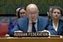 Statement by Permanent Representative Vassily Nebenzia at a UNSC Briefing Following the Attack on Starobelsk