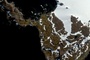 CNN: How fast Antarctica is turning green