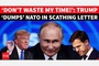 Trump says he will impose more sanctions on Russia if NATO does