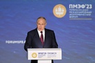Vladimir Putin: “Our business leaders are increasingly in favour of not letting the itinerant foreign companies back”