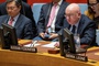 Vassily Nebenzia at UNSC: “PMCs of Poland and the United States have been carrying out an active recruitment campaign, seeking to get new cannon fodder to fight for the Zelensky regime”