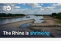 Inland shipping at risk as low water levels threaten to 'split the Rhine in two'