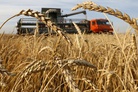 View from Paris: Moscow has a strong position on wheat market