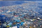 Study reveals up to 11 million tons of plastic polluting ocean floors