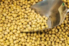 China: Russian soybeans – in, American soybeans - out