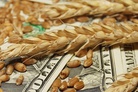 Russia is ready to help to find options for unhindered grain exports