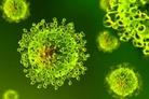 Coronavirus – a global challenge to science