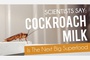 Is cockroach milk the future of nutrition? This is no joke – Westerners are being offered cockroaches as food!