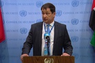 Dmitry Polyanskiy after UNSC closed consultations: “What we see is only deliberate attempts to mislead the investigation”