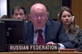 Vassily Nebenzia at a UNSC Briefing on Ukraine: “The EU countries and the UK are absolutely unfaithful to their word and cannot be a party to any future agreements on the settlement of the Ukrainian crisis whatsoever”