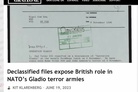 Declassified files expose British role in terror armies