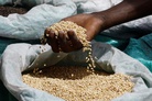 FT: Russia has a plan to supply grain to Africa