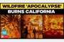 View from California: As apocalyptic fires torch LA, climate campaigners say 'Big Oil did this'