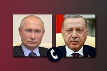 Vladimir Putin had a telephone conversation with President of Turkiye Recep Tayyip Erdogan