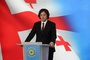 Georgian premier accuses EU officials of promoting extremism