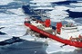 ‘Forbs’: US vs. Russia-China – an Arctic power play