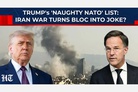 POLITICO: Pentagon excludes key allies from NATO meeting