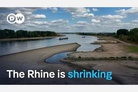 Inland shipping at risk as low water levels threaten to 'split the Rhine in two'