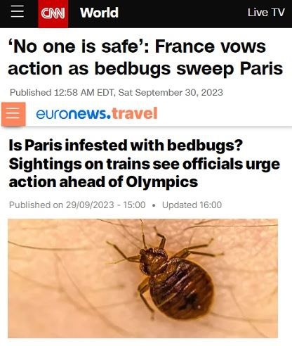 Bedbugs sweep Paris and London - International Affairs